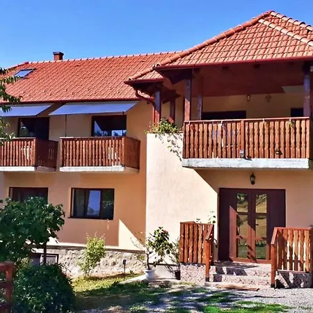 Penzion Pensiunea Agroturistica Ica Valea Drăganului